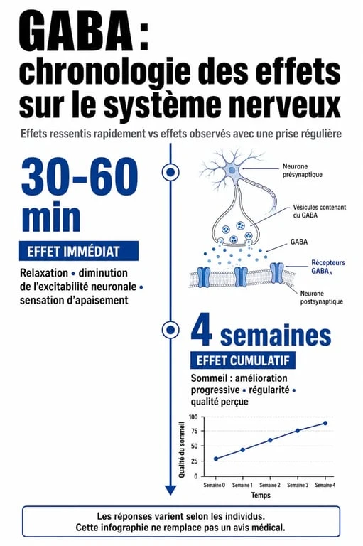 Infographie illustrant le délai d'action du GABA sur le stress et le sommeil